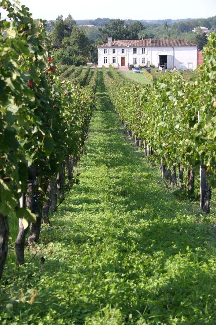 L'Hermitage D'Alienor Lugon et l'Ile du Carney Екстер'єр фото